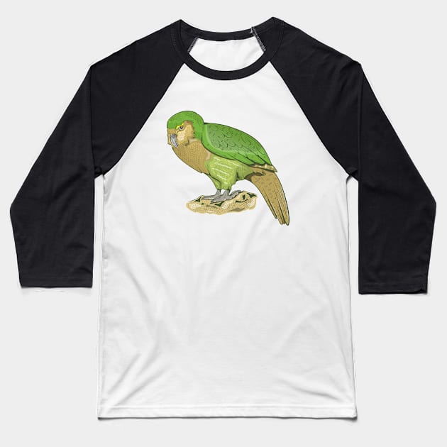 Kakapo Baseball T-Shirt by mailboxdisco